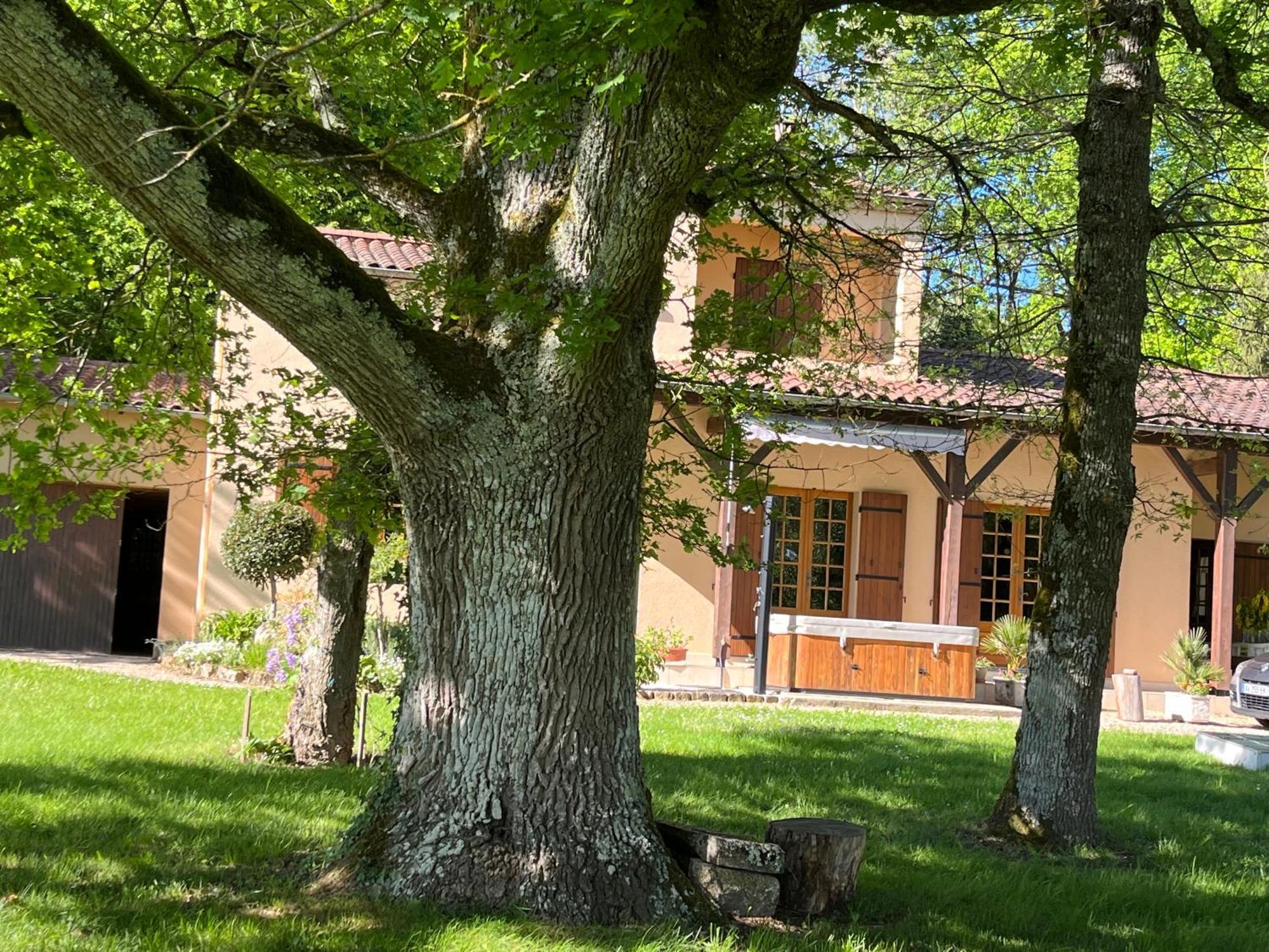 Maison De Vacances Macou 2 Capdrot Dış mekan fotoğraf